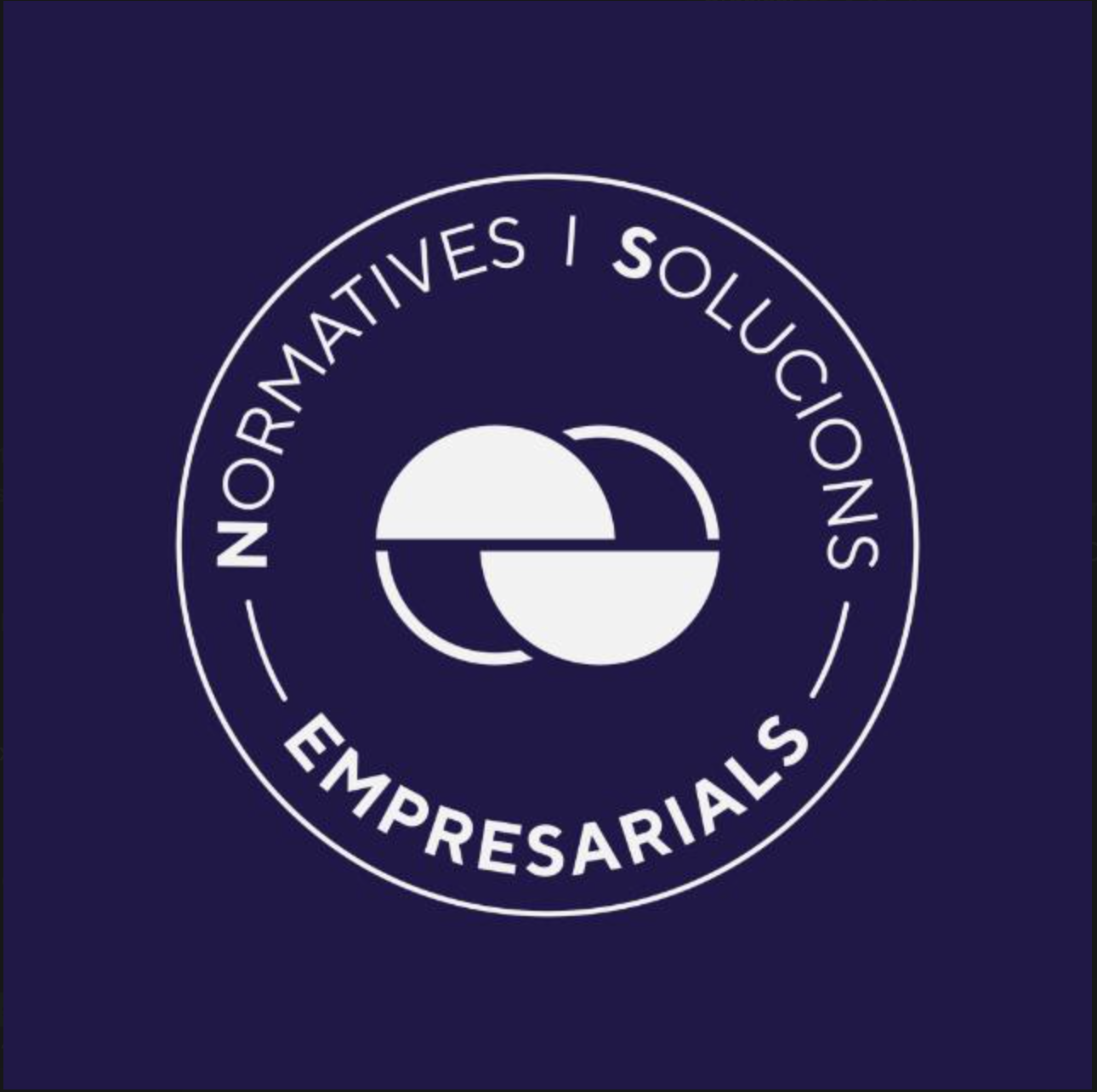 Normativa i Solucions Empresarials logo